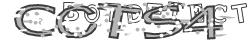 Skriv tegnene du ser i CAPTCHA billedet